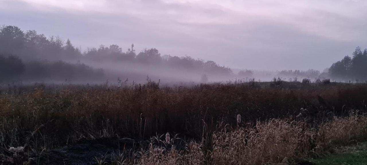 De Tweede Brug Daire Echten  Dış mekan fotoğraf